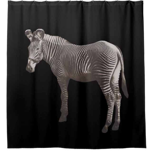 Vintag Zebra Duschvorhang (Vorderseite)