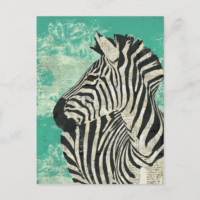 Vintag Zebra Turquoise Postkarte (Vorderseite)
