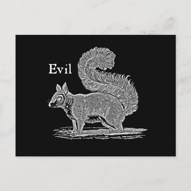 Vintage 1800er Evil Squirrel Illustration Postkarte (Vorderseite)