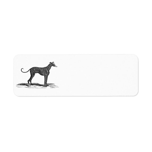 Vintage 1800er-Jahre-Hunde-Hunde-Illustration - Hu (Vorne)