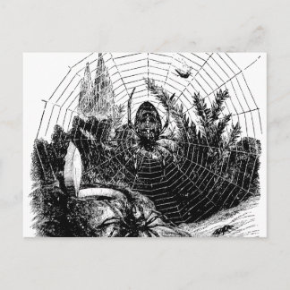 Vintage 1800er Spider Web Illustration - Spinnen Postkarte
