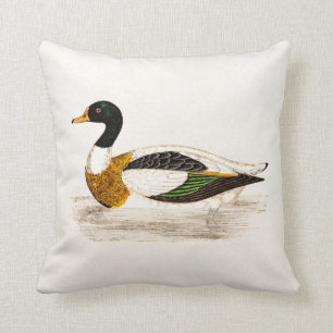 Vintage 1800s alte Drake-Enten-Illustration - Kissen