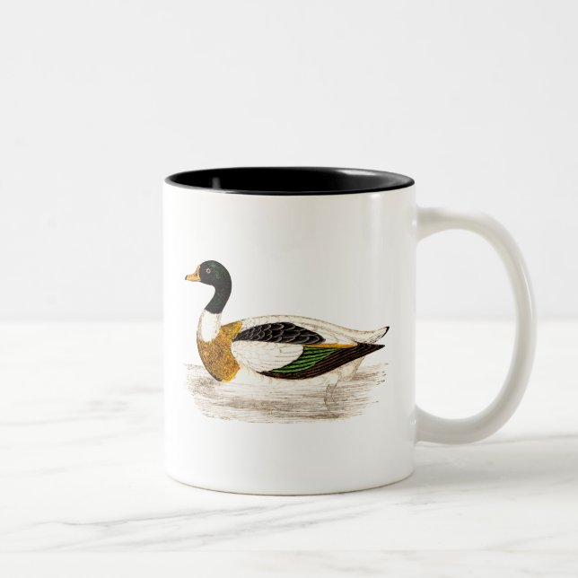 Vintage 1800s alte Drake-Enten-Illustration - Zweifarbige Tasse (Rechts)
