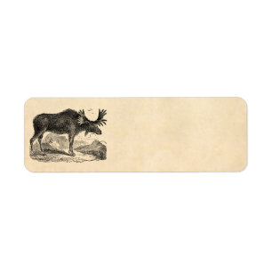 Vintage 1800s amerikanische
