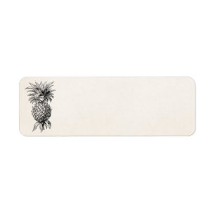 Vintage 1800s Ananas-Illustrations-Ananas