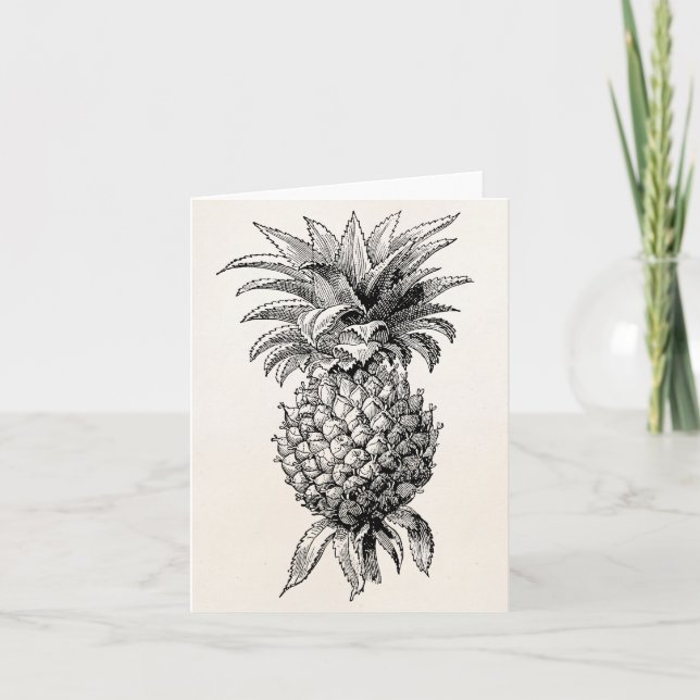 Vintage 1800s Ananas-Illustrations-Ananas Karte (Vorderseite)