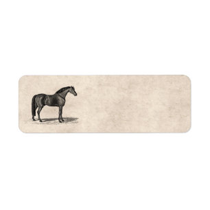 Vintage 1800s arabische Pferdeillustration -
