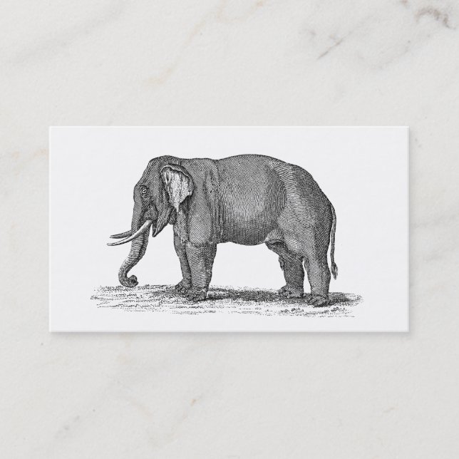 Vintage 1800s Elefant-Illustration - Elefanten Visitenkarte (Vorderseite)