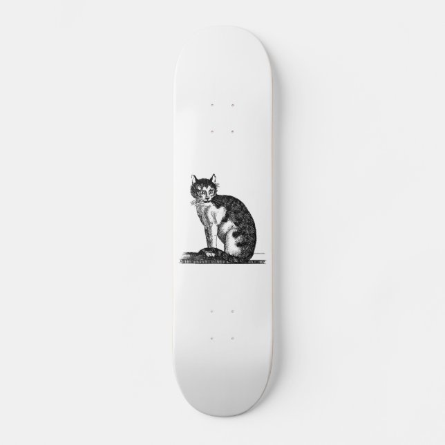 Vintage 1800s Haus-Katzen-Illustration - Katzen Skateboard (Vorderseite)