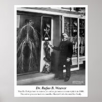 Vintage 1800s Human Nervous System
