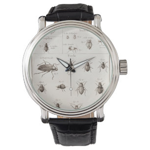 Vintage 1800s Insekten-Wanzen-Käfer-Illustration Armbanduhr