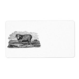 Vintage 1800s Merinoschaf-RAM-Lamm-Schablone