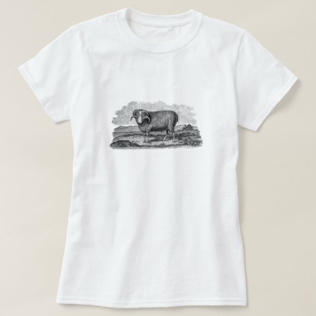 Vintage 1800s Merinoschaf-RAM-Lamm-Schablone T-Shirt (Design vorne)