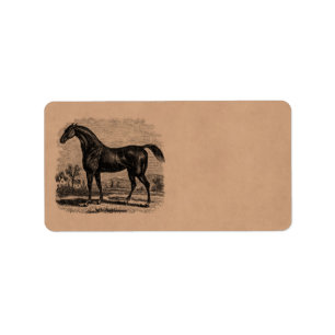 Vintage 1800s Rennen-PferdeRetro Adressaufkleber