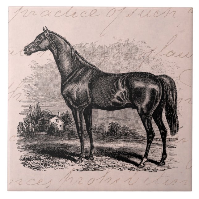 Vintage 1800s Rennen-PferdeRetro Fliese (Vorderseite)