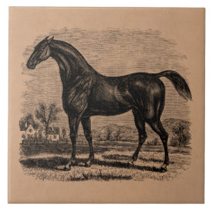 Vintage 1800s Rennen-PferdeRetro Fliese