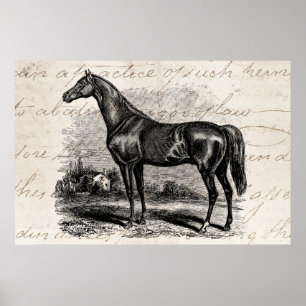 Vintage 1800s Rennen-PferdeRetro Poster