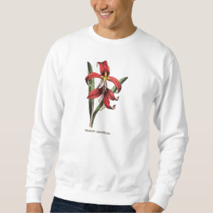Vintage 1800s rote sweatshirt