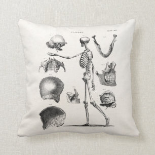 Vintage 1800s Skeleton antike Anatomie-Skelette Kissen