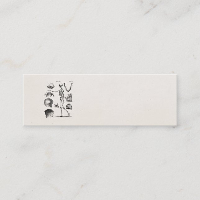 Vintage 1800s Skeleton antike Anatomie-Skelette Mini Visitenkarte (Vorderseite)