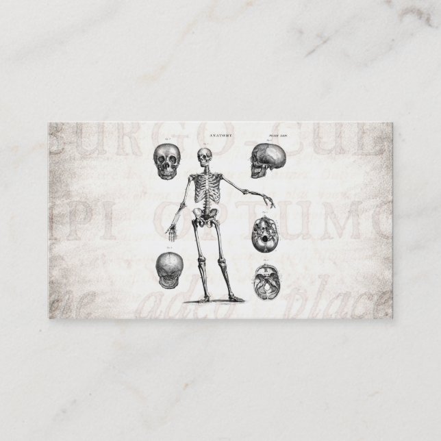 Vintage 1800s Skeleton antike Anatomie-Skelette Visitenkarte (Vorderseite)