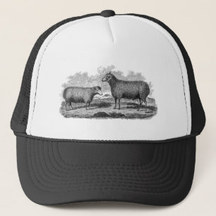 Vintage 1800s truckerkappe
