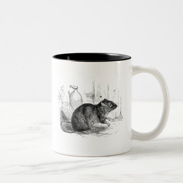 Vintage 1800s zweifarbige tasse (Rechts)
