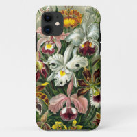 Vintage 1865 botanische Orchideen-Illustration