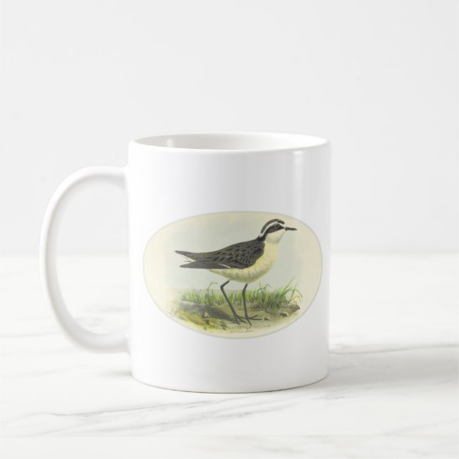 Vintage 1875 Bird Drawing from St Helena Kaffeetasse (Links)
