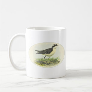Vintage 1875 Vogelzeichnung von St. Helena Kaffeetasse