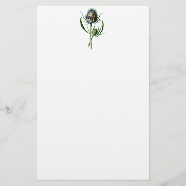 Vintage 1902 Scottish-Distel-Antiken-wilde Blume Briefpapier (Vorderseite)