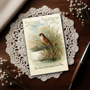 Vintage 1908 Weihnachtsvogel-Grußkarte Postkarte