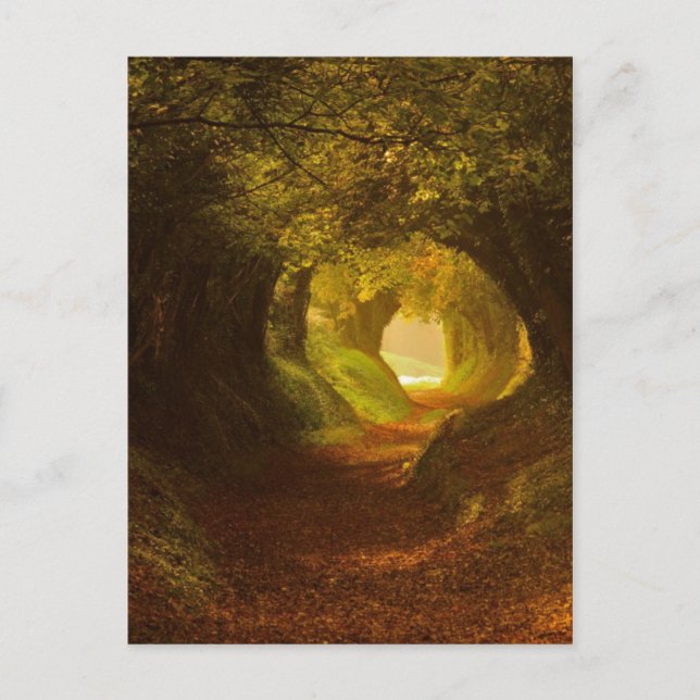 Vintage Abbildung Postcard Postkarte (Vorderseite)