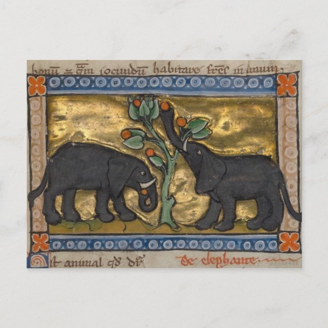 Vintage Abbildung Postcard Postkarte (Vorderseite)