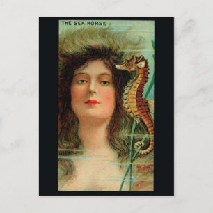 Vintage Abbildung Postcard Postkarte