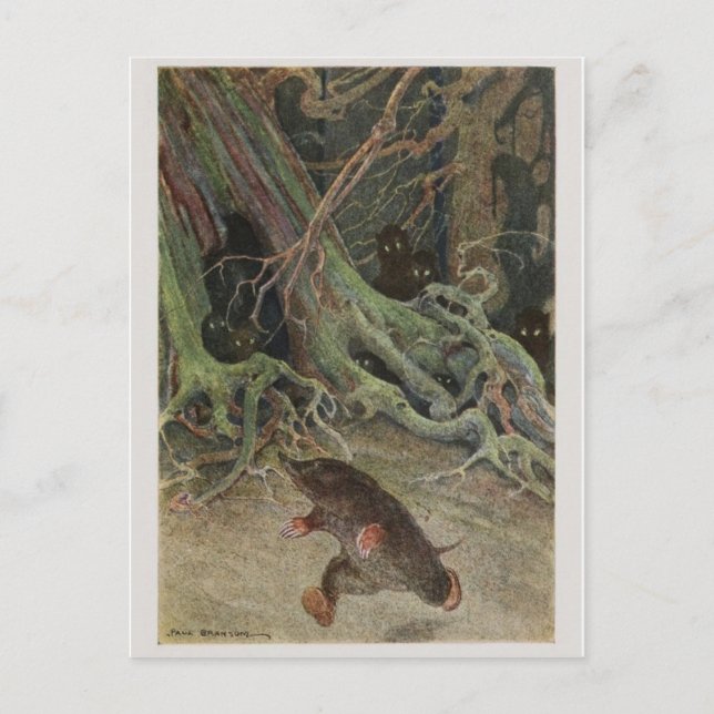 Vintage Abbildung Postcard Postkarte (Vorderseite)