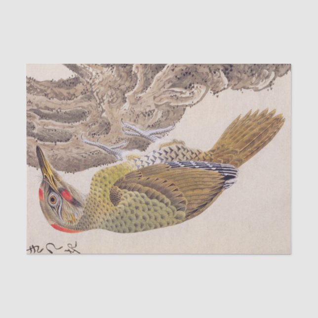 Vintage Abbildung: Woodpecker Seidenpapier (Vorderseite)