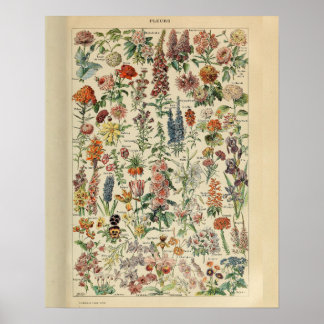 Vintage Adolphe Millot Druck Blumen Poster