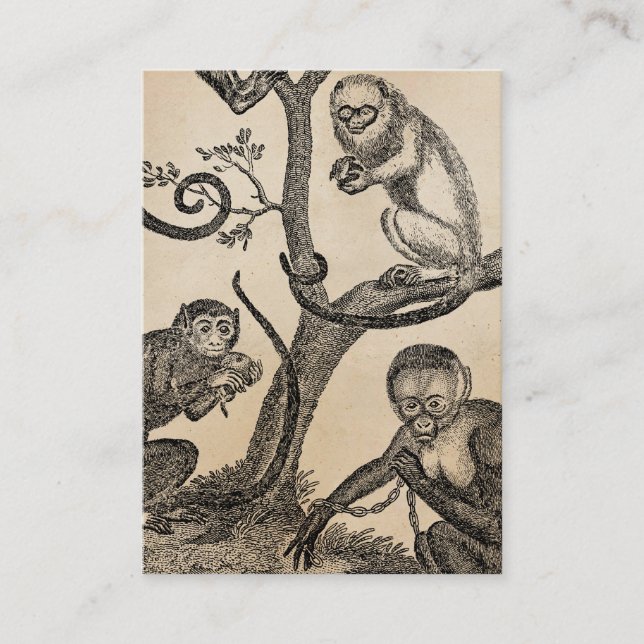 Vintage Affe-Illustration - Affen 1800's Visitenkarte (Vorderseite)