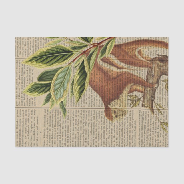 Vintage Affenkollektion Seidenpapier (Vorderseite)
