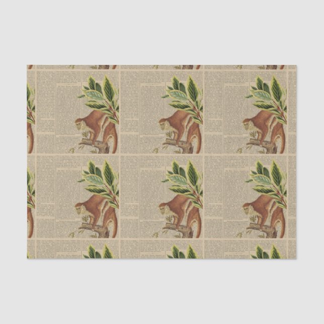 Vintage Affenkollektion Seidenpapier (Vorderseite)