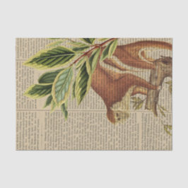 Vintage Affenkollektion Seidenpapier