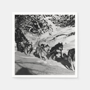 Vintage Alaska eskimo Malamute Schlittenrennen 197 Serviette