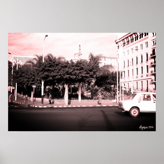 Vintage Algerien Algier Autos Gebäude Poster (Vorne)