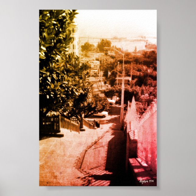 Vintage Algerien Überblick über den Bezirk Algier Poster (Vorne)