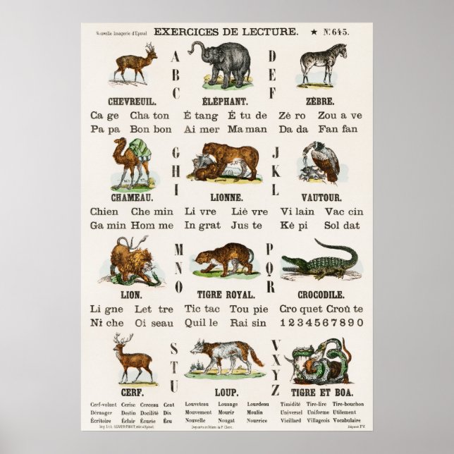 Vintage Alphabete und Zahlen Poster (Vorne)