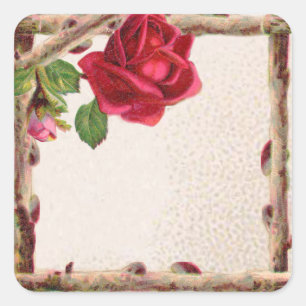Vintage alte Rose rustikal Viktorianisch Antique Quadratischer Aufkleber