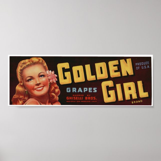 Vintage alte Trauben Fruchtkäfige Etiketten Poster (Vorne)