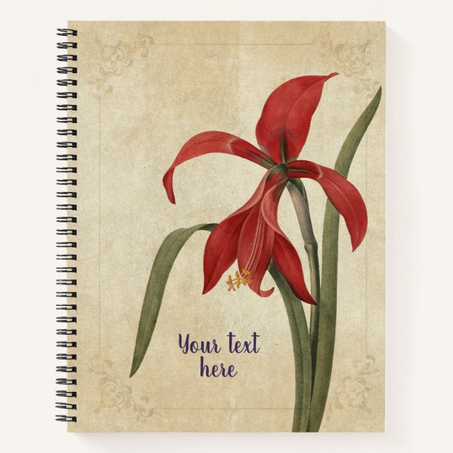 Vintage Amaryllis Notebook Notizbuch (Vorderseite)