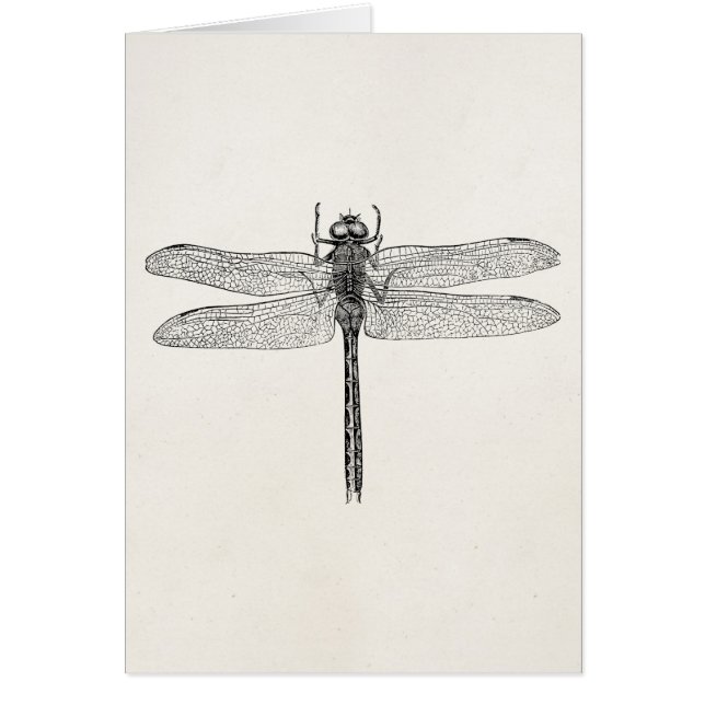 Vintage amerikanische (Vorne)